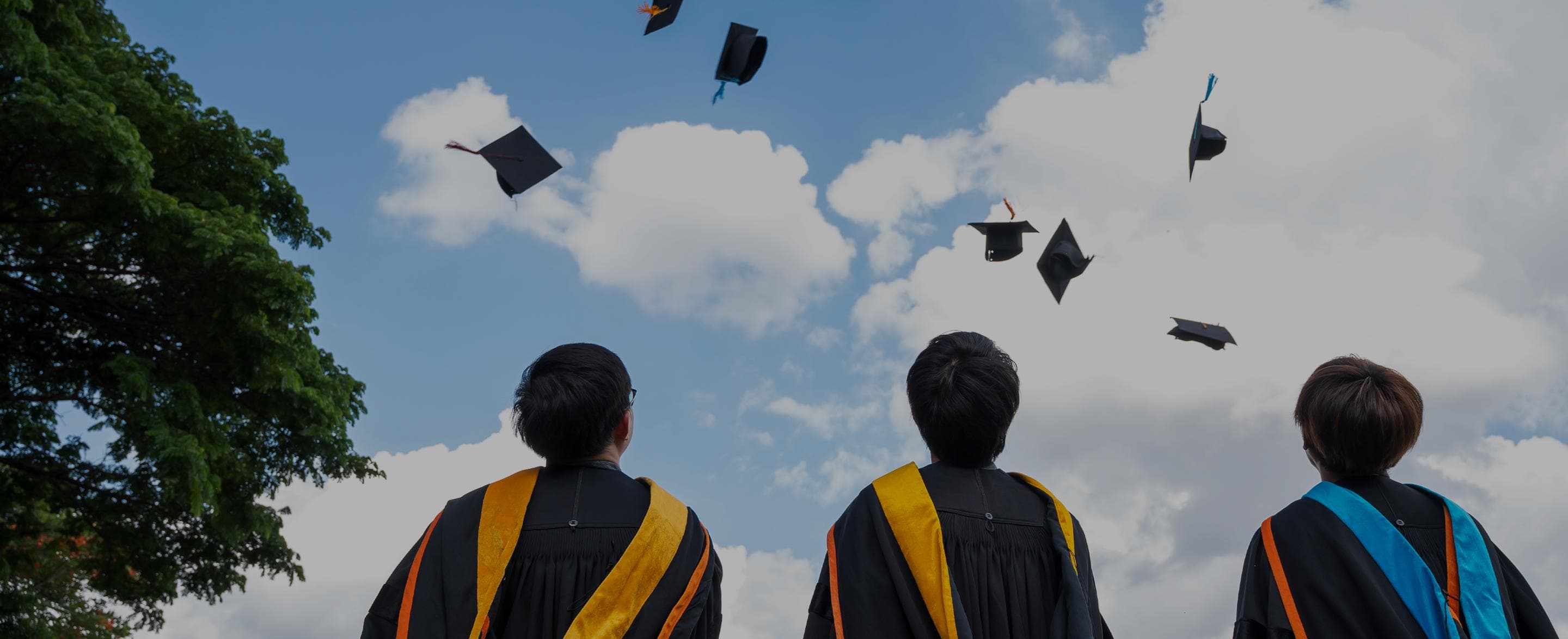 Wisuda Universitas Bangsa